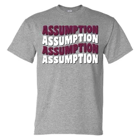 T-shirt - Grey - Assumption Repeat